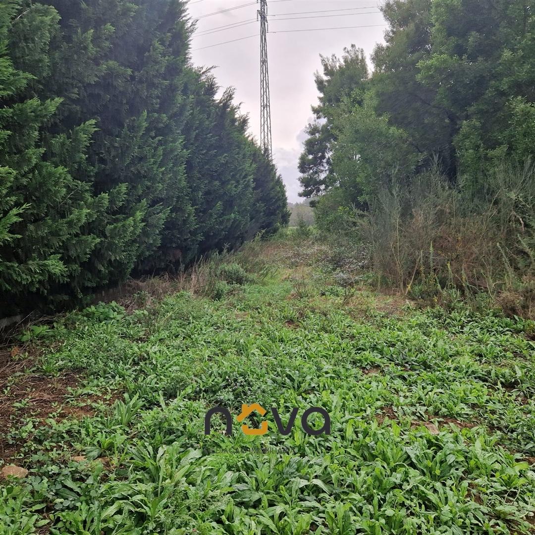 Terreno Rústico  Venda em Retorta e Tougues,Vila do Conde