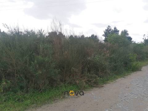Terreno Rústico  Venda em Retorta e Tougues,Vila do Conde