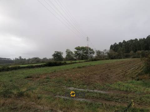 Terreno Rústico  Venda em Retorta e Tougues,Vila do Conde