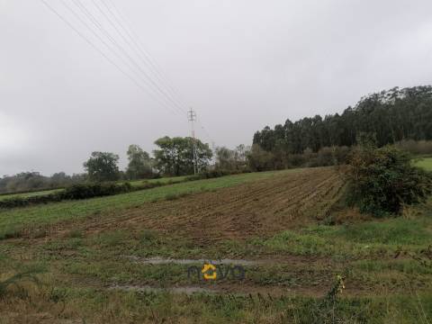 Terreno Rústico  Venda em Retorta e Tougues,Vila do Conde