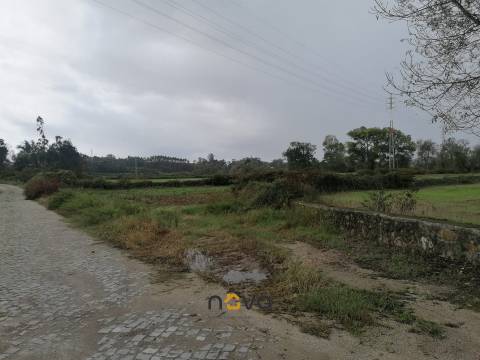 Terreno Rústico  Venda em Retorta e Tougues,Vila do Conde