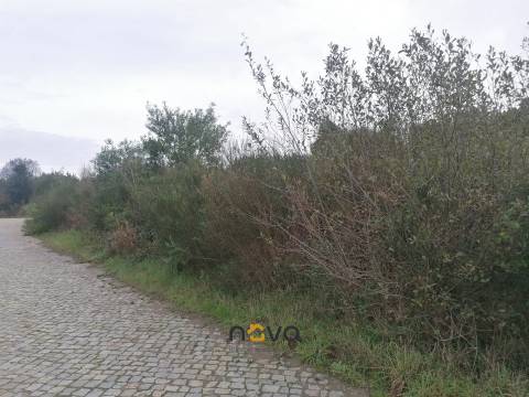 Terreno Rústico  Venda em Retorta e Tougues,Vila do Conde
