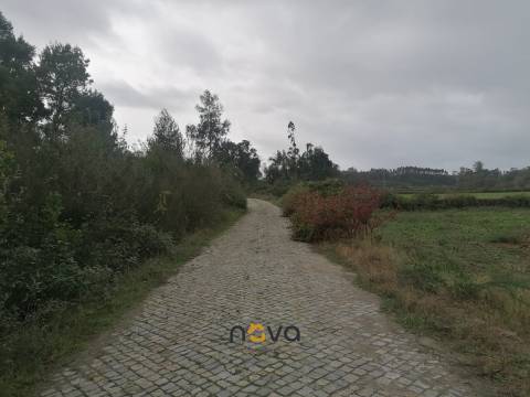 Terreno Rústico  Venda em Retorta e Tougues,Vila do Conde