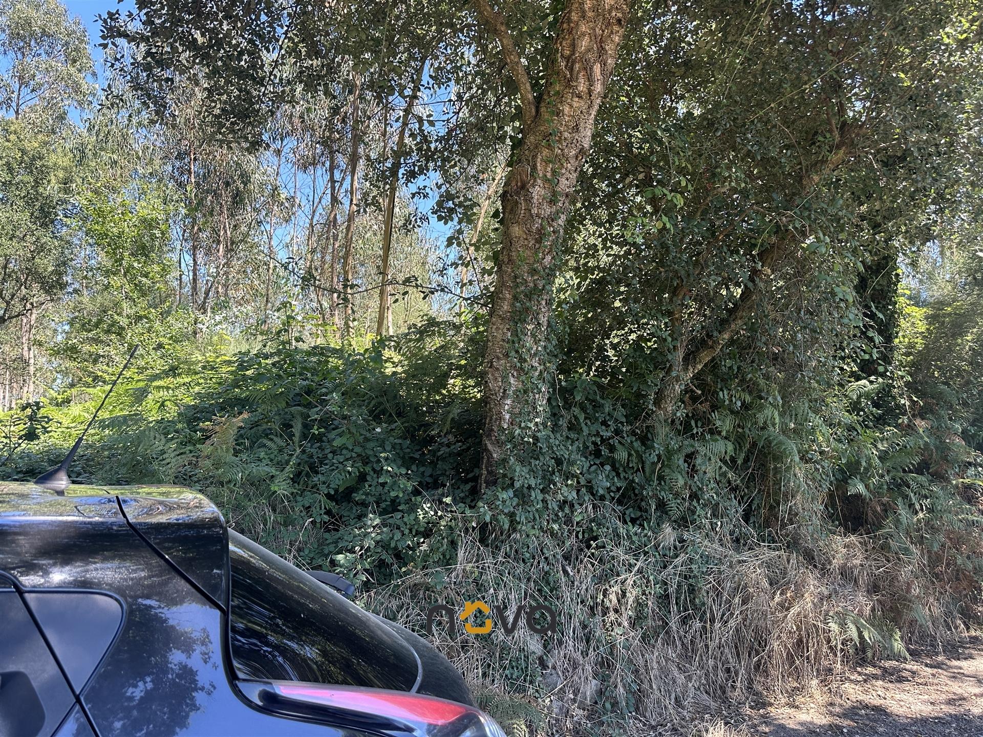 Terreno com 6100m2 em Gião, Vila do Conde NOVA Imobiliária