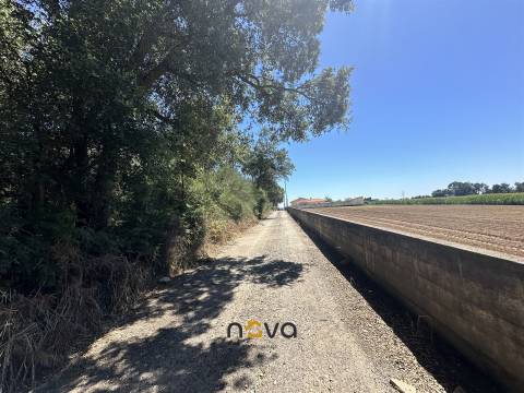 Terreno com 6100m2 em Gião, Vila do Conde NOVA Imobiliária