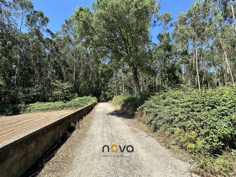 Terreno com 6100m2 em Gião, Vila do Conde NOVA Imobiliária