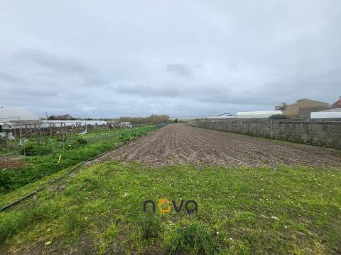 MORADIA T4 PARA RESTAURO EM AGUÇADOURA