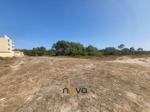 T3 Árvore com vistas de mar