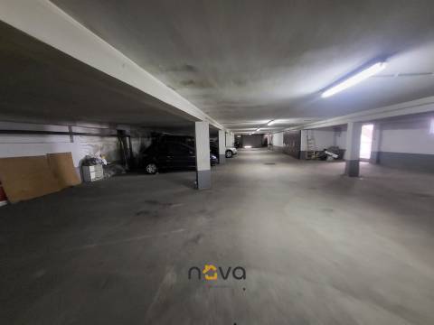 T3 Árvore com vistas de mar