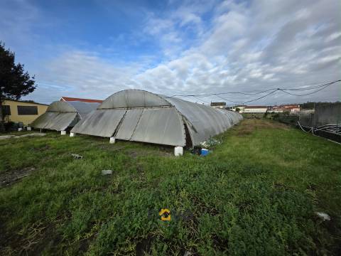 Lote de Terreno, Póvoa de Varzim