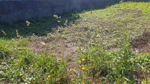 Lote de Terreno  Venda em Valongo,Valongo