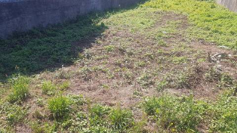 Lote de Terreno  Venda em Valongo,Valongo