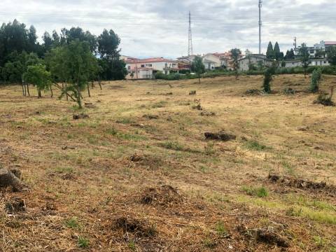 Lote de Terreno  Venda em Sanguedo,Santa Maria da Feira