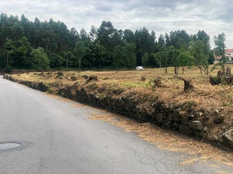 Lote de Terreno  Venda em Sanguedo,Santa Maria da Feira
