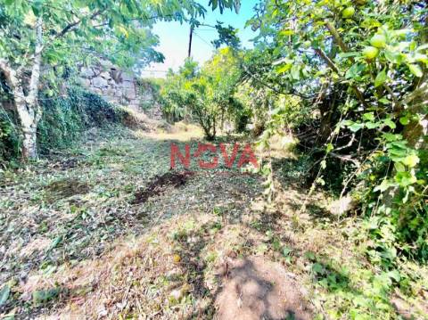 Quintinha T3 Venda em Roriz,Santo Tirso