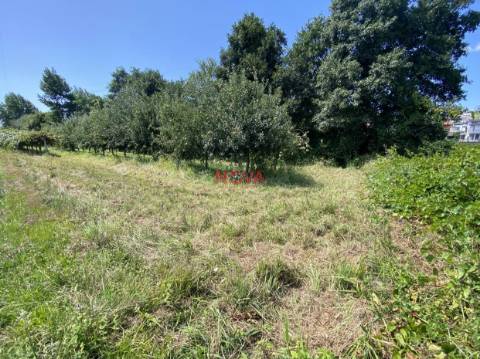 Terreno Rústico  Venda em Ermesinde,Valongo