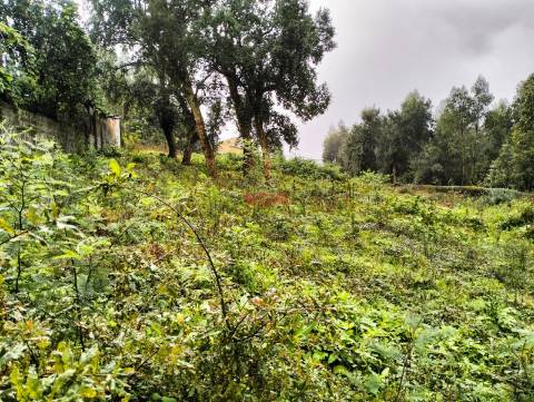 Terreno Rústico  Venda em Grijó e Sermonde,Vila Nova de Gaia