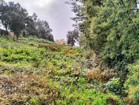 Terreno Rústico  Venda em Grijó e Sermonde,Vila Nova de Gaia
