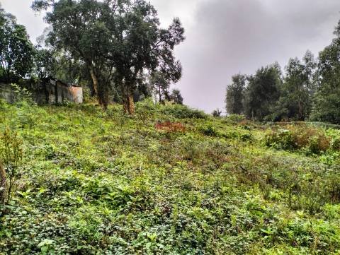Terreno Rústico  Venda em Grijó e Sermonde,Vila Nova de Gaia