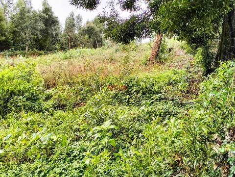 Terreno Rústico  Venda em Grijó e Sermonde,Vila Nova de Gaia