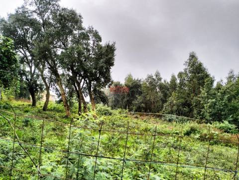 Terreno Rústico  Venda em Grijó e Sermonde,Vila Nova de Gaia