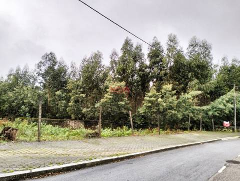 Terreno Rústico  Venda em Grijó e Sermonde,Vila Nova de Gaia