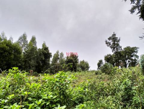 Terreno Rústico  Venda em Grijó e Sermonde,Vila Nova de Gaia