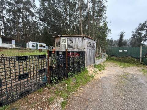 Terreno Rústico  Venda em Valongo,Valongo