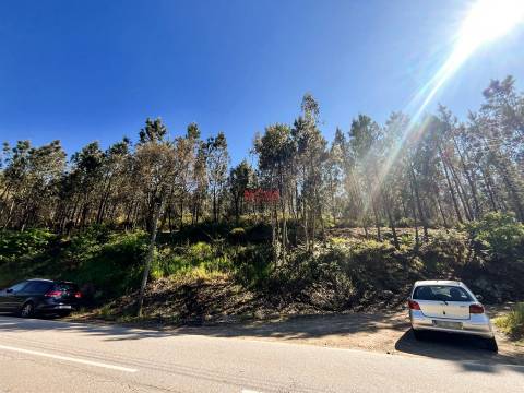 Terreno Rústico  Venda em Covelas,Trofa