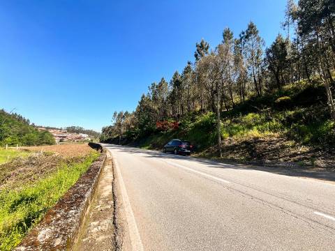 Terreno Rústico  Venda em Covelas,Trofa
