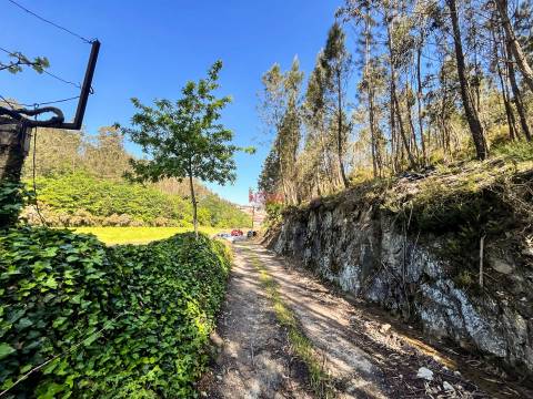 Terreno Rústico  Venda em Covelas,Trofa