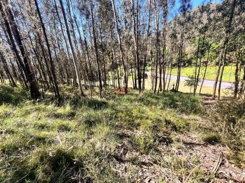 Terreno Rústico  Venda em Covelas,Trofa