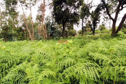 Terreno Para Construção  Venda em Aveleda,Vila do Conde