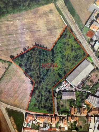 Terreno Para Construção  Venda em Aveleda,Vila do Conde