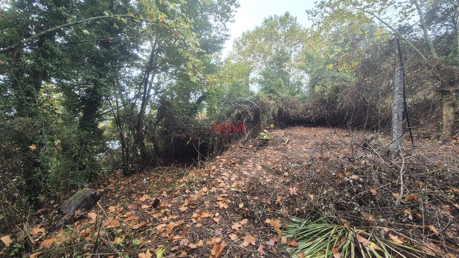 Moradia Isolada T2 Venda em Canedo de Basto e Corgo,Celorico de Basto