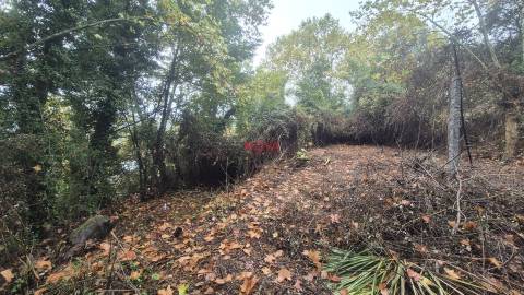 Moradia Isolada T2 Venda em Canedo de Basto e Corgo,Celorico de Basto