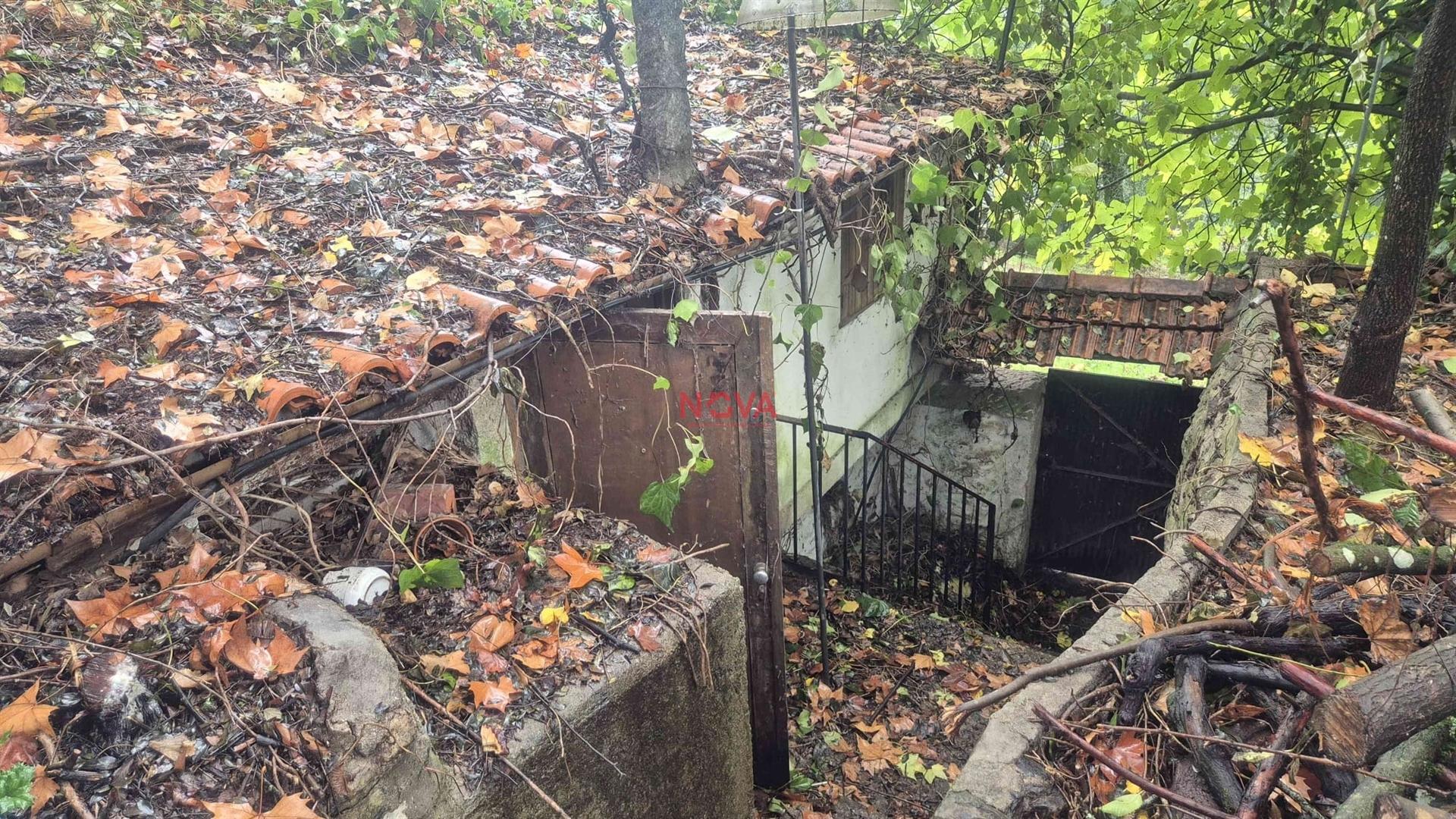 Moradia Isolada T2 Venda em Canedo de Basto e Corgo,Celorico de Basto