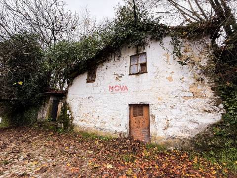 Moradia Isolada T2 Venda em Canedo de Basto e Corgo,Celorico de Basto