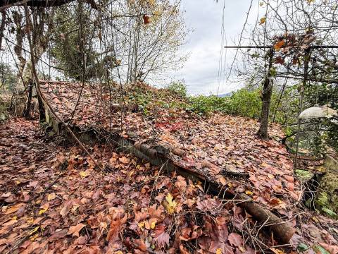Moradia Isolada T2 Venda em Canedo de Basto e Corgo,Celorico de Basto