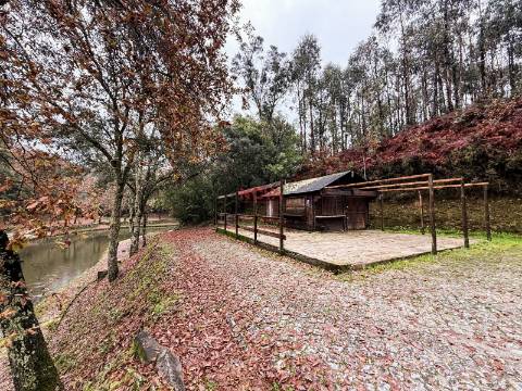 Moradia Isolada T2 Venda em Canedo de Basto e Corgo,Celorico de Basto