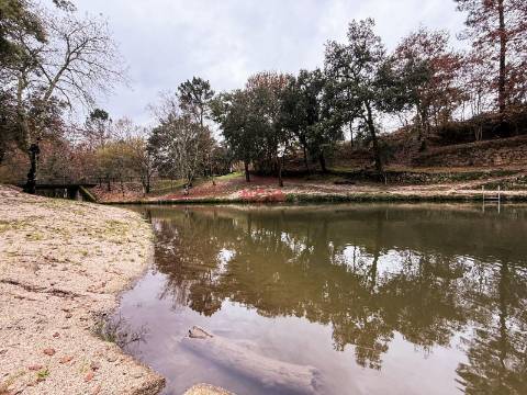 Moradia Isolada T2 Venda em Canedo de Basto e Corgo,Celorico de Basto