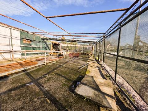 Terreno  Venda em Ermesinde,Valongo