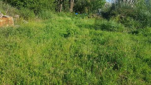 Lote de Terreno  Venda em Águas Santas,Maia