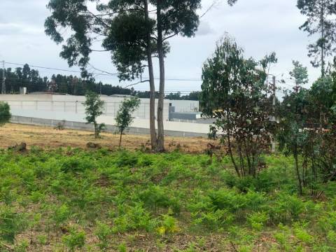 Lote de Terreno  Venda em Sanguedo,Santa Maria da Feira
