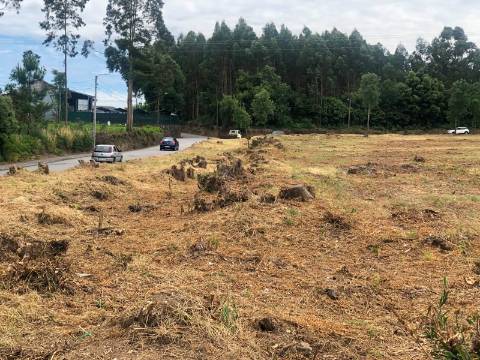 Lote de Terreno  Venda em Sanguedo,Santa Maria da Feira