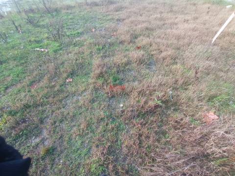 Lote de Terreno  Venda em Campo e Sobrado,Valongo