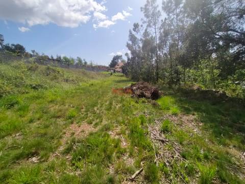 Terreno Rústico  Venda em Gandra,Paredes
