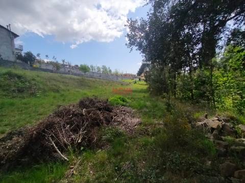 Terreno Rústico  Venda em Gandra,Paredes