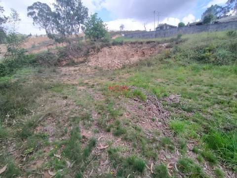 Terreno Rústico  Venda em Gandra,Paredes