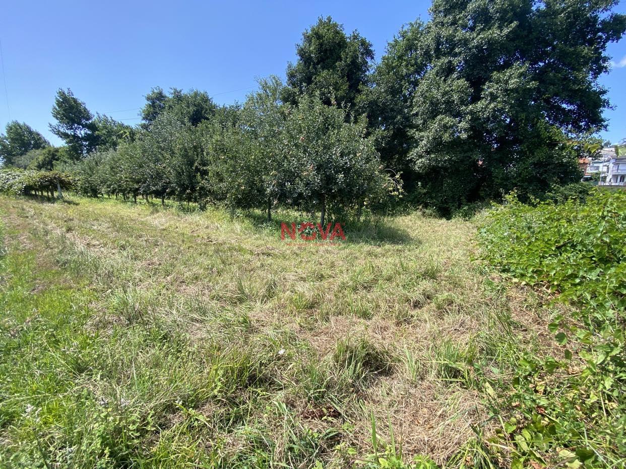 Terreno Rústico  Venda em Ermesinde,Valongo